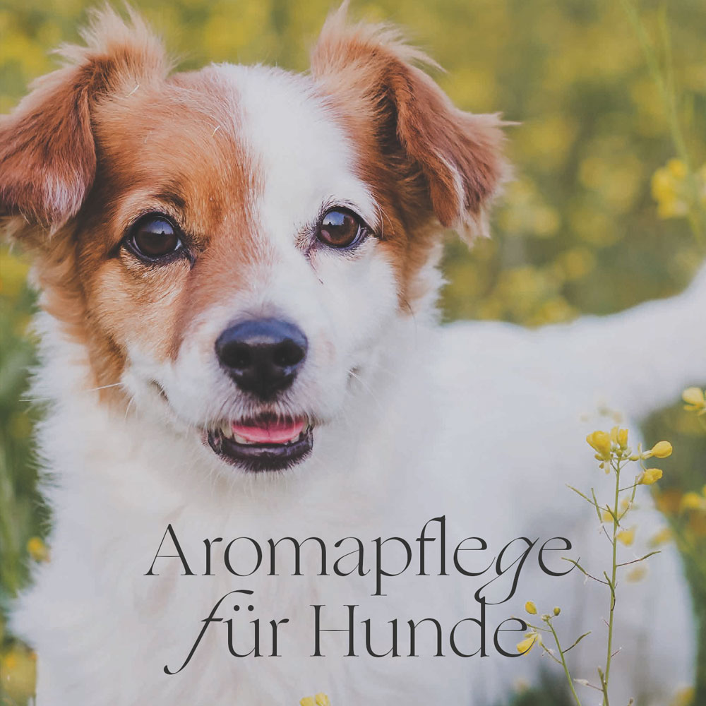 Folder Aromapflege für Hunde
