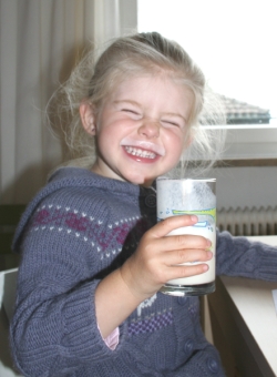 Bananenmilch mit Birkenzucker