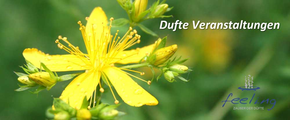 Unsere Seminare 2019