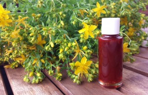 johanniskraut_bluete_oel