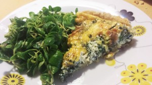 mangoldquiche_salat