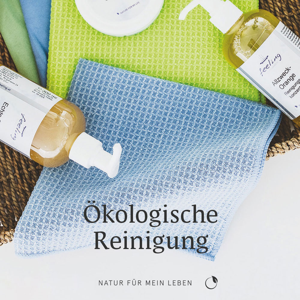 Folder Ökologische Reinigung